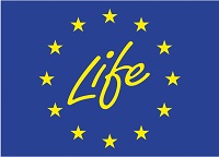 Life-logo